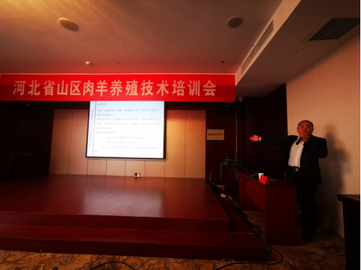 20211010阳原培训宣传稿(1)(1)(1)691.png
